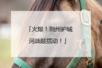 火爆！荆州护城河战鼓擂动！