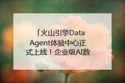 火山引擎Data Agent体验中心正式上线！企业级AI数据专家触手可及