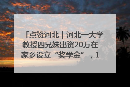 点赞河北｜河北一大学教授四兄妹出资20万在家乡设立“奖学金”，13年为320名农村学生种下“希望的种子”
