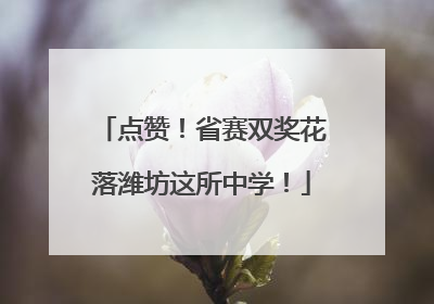 点赞！省赛双奖花落潍坊这所中学！