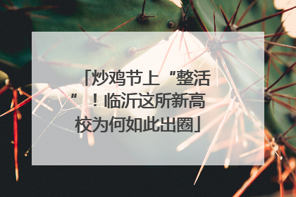 炒鸡节上“整活”！临沂这所新高校为何如此出圈