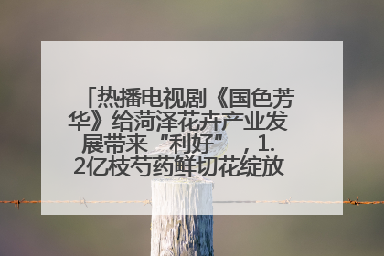 热播电视剧《国色芳华》给菏泽花卉产业发展带来“利好”，1.2亿枝芍药鲜切花绽放“国色芳华”
