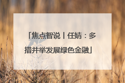 焦点智说丨任婧：多措并举发展绿色金融