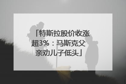 特斯拉股价收涨超3%：马斯克父亲劝儿子低头