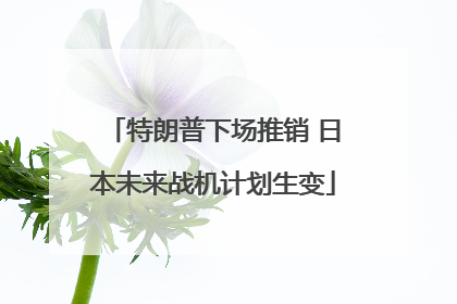 特朗普下场推销 日本未来战机计划生变