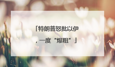 特朗普怒批以伊，一度“爆粗”