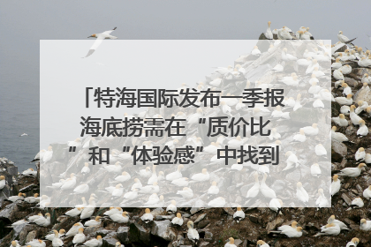 特海国际发布一季报 海底捞需在“质价比”和“体验感”中找到平衡｜新经济观察
