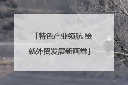 特色产业领航 绘就外贸发展新画卷