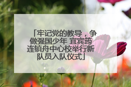 牢记党的教导，争做强国少年 宜宾筠连镇舟中心校举行新队员入队仪式