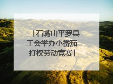 石嘴山平罗县工会举办小番茄打杈劳动竞赛