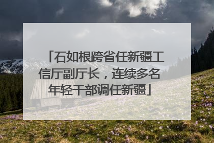 石如根跨省任新疆工信厅副厅长，连续多名年轻干部调任新疆