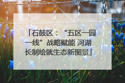 石鼓区：“五区一园一线”战略赋能 河湖长制绘就生态新图景