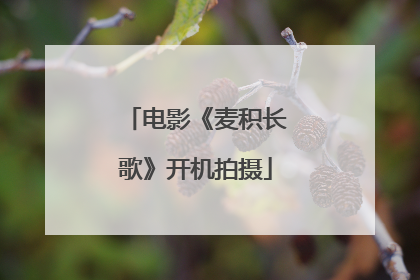 电影《麦积长歌》开机拍摄