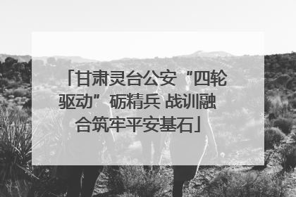甘肃灵台公安“四轮驱动”砺精兵 战训融合筑牢平安基石