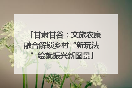 甘肃甘谷：文旅农康融合解锁乡村“新玩法”绘就振兴新图景