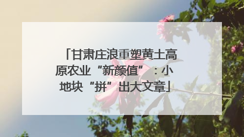 甘肃庄浪重塑黄土高原农业“新颜值”：小地块“拼”出大文章