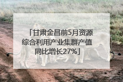 甘肃金昌前5月资源综合利用产业集群产值同比增长27%