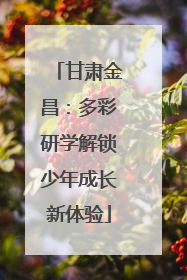 甘肃金昌：多彩研学解锁少年成长新体验