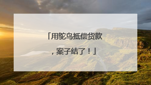 用鸵鸟抵偿货款，案子结了！