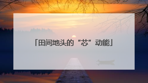 田间地头的“芯”动能
