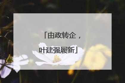 由政转企，叶建强履新