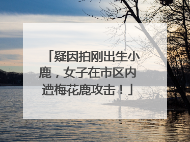 疑因拍刚出生小鹿，女子在市区内遭梅花鹿攻击！