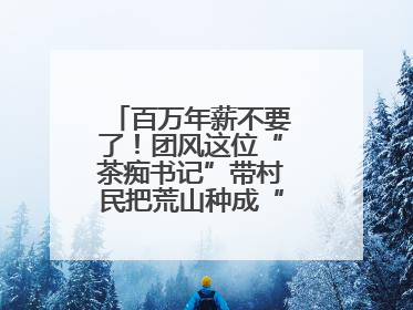 百万年薪不要了！团风这位“茶痴书记”带村民把荒山种成“绿色银行”