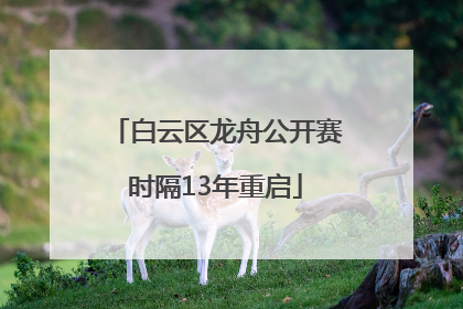 白云区龙舟公开赛时隔13年重启