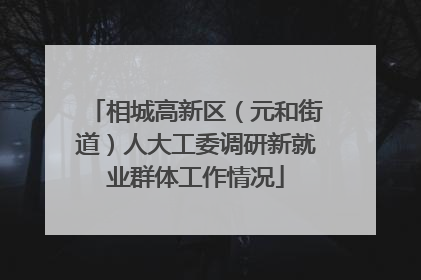 相城高新区（元和街道）人大工委调研新就业群体工作情况