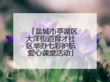 盐城市亭湖区大洋街道育才社区举办七彩护航爱心课堂活动