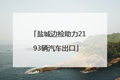 盐城边检助力2193辆汽车出口