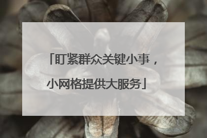 盯紧群众关键小事，小网格提供大服务
