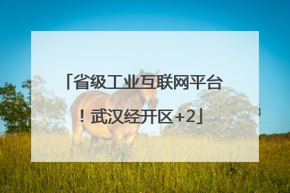 省级工业互联网平台！武汉经开区+2