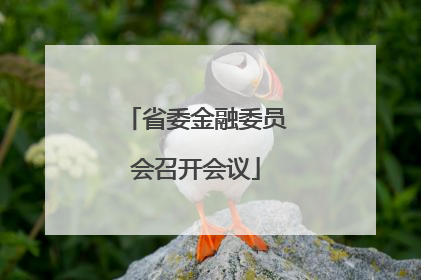 省委金融委员会召开会议