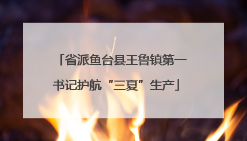 省派鱼台县王鲁镇第一书记护航“三夏”生产
