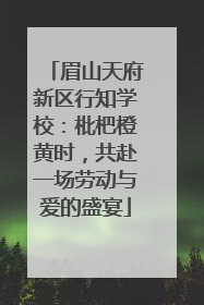 眉山天府新区行知学校：枇杷橙黄时，共赴一场劳动与爱的盛宴