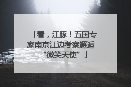看，江豚！五国专家南京江边考察邂逅“微笑天使”