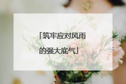 筑牢应对风雨的强大底气