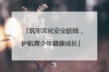 筑牢文化安全防线，护航青少年健康成长