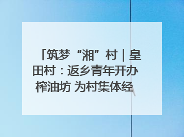 筑梦“湘”村｜皇田村：返乡青年开办榨油坊 为村集体经济“加油”