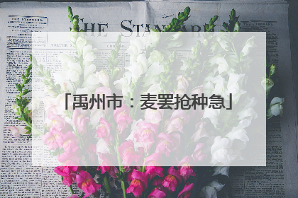 禹州市：麦罢抢种急