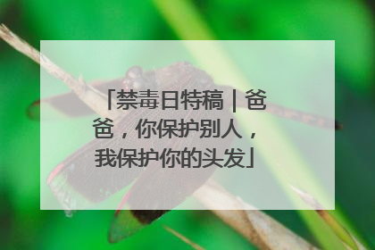 禁毒日特稿｜爸爸，你保护别人，我保护你的头发