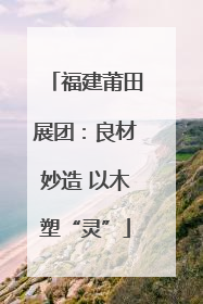 福建莆田展团：良材妙造 以木塑“灵”