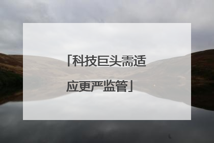 科技巨头需适应更严监管