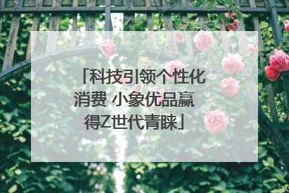 科技引领个性化消费 小象优品赢得Z世代青睐