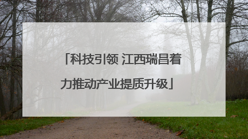 科技引领 江西瑞昌着力推动产业提质升级