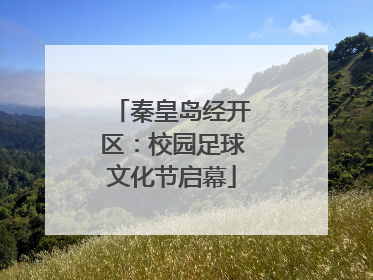 秦皇岛经开区：校园足球文化节启幕