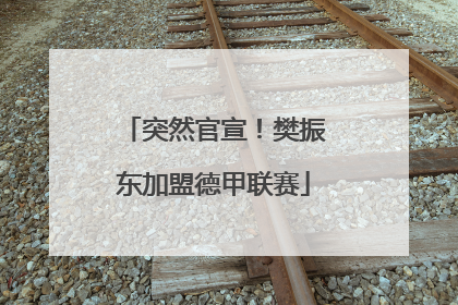 突然官宣！樊振东加盟德甲联赛