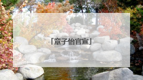 章子怡官宣