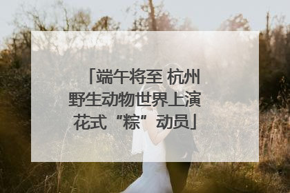 端午将至 杭州野生动物世界上演花式“粽”动员